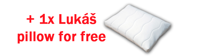 Lukáš pillow for free